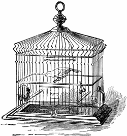 54921 birdcage lg