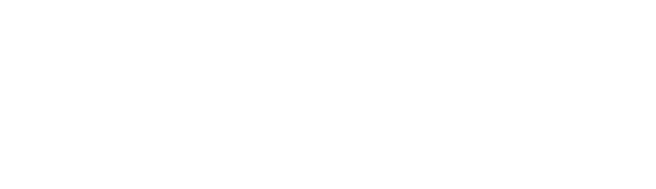 Disruption Corporation